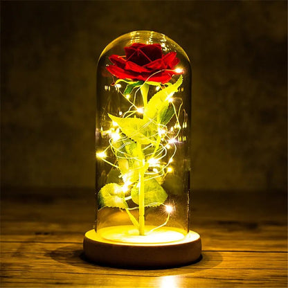 Eternal Rose Lamp - Montide